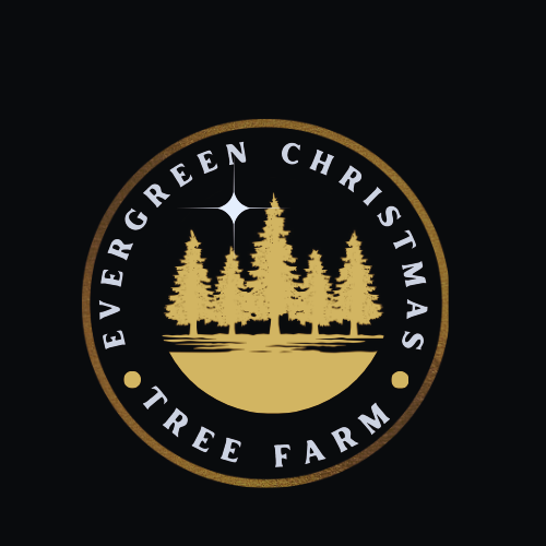 Evergreen Christmas Tree Farm